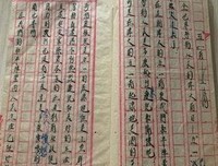 《神文时代》的读后感大全