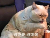 好有道理！句子大全