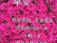 关于岁月静好的优美句子