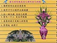 最新的《不要说话》佳句摘抄