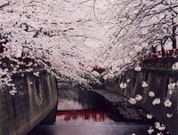 最经典的《岁月忽已暮》佳句摘抄大全