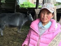 半农半X的幸福之路的读后感大全