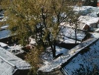 八道湾十一号读后感锦集