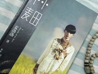 最全的《小小麦田》小说书摘
