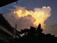 最经典的《他还是不懂》经典句子大全