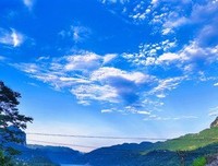 《山有木兮木有枝》读后感精选