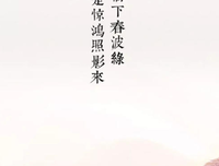 《旧人时光》的句子