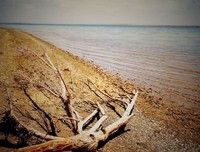 心头一阵暖流