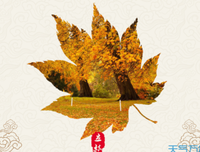 不知道从何说起的优美句子