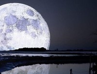 普天之下的名句_关于普天之下的名句