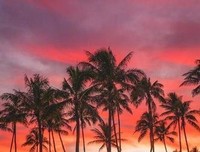 那些令人深思的句子