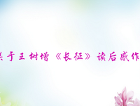 长征的读后感大全