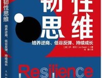《韧性思维：培养逆商、低谷反弹、持续成长》读后感摘