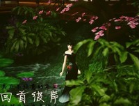关于惊艳的唯美句子