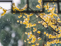 关于Classic English sayings的句子