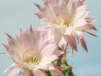 人越来越沉默，不是孤独，不是无奈，而是……