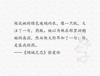 倾城之恋的句子