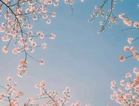 那年花开，你在路上的优美句子