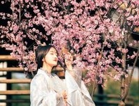 是有多坚强，才敢念念不忘句子