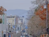 有关有些路，只能一个人走的句子