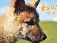 《重返狼群——10周年纪念版》经典影评有感