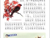 《古典植物园》读后感锦集