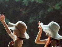 最全的《散落的玫瑰》好段摘抄