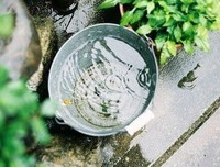 愿现世安稳，岁月静好