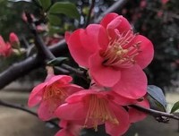 最经典的《明媚正当时》名句欣赏大全