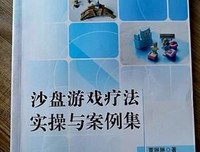 《好玩的沙盘游戏作文》读后感100字