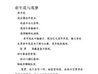 《怀悼集》的读后感大全