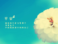 关于从未有过的唯美语录