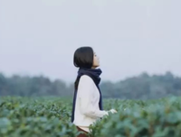 情再浓，不懂珍惜也是徒劳
