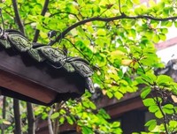 谁都不傻，只是不说