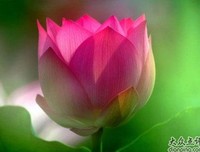不妨对自己好一点