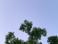 不要把本该属于自己的选择权，交给别人