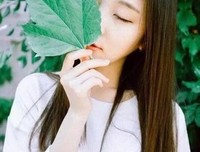 努力努力努力的优美句子