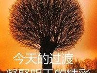 谨言慎行的句子