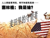 麦田里的守望者读后感摘抄