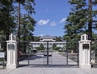 《东京贵族女子》观后感精选