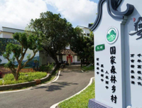响彻闻名的元坝荔枝