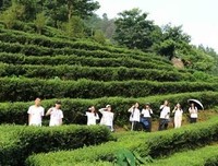 星梦夏约社会实践队调研活动逐步开展