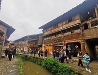 “红色基因”调研