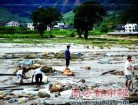 留乡与外出务工，留垌村村民的态度