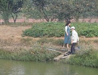 忙中作乐，然而乐在其中
