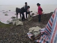三下乡中的调研故事