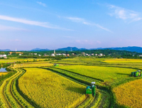 打造三农，助力乡村振兴