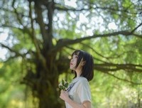 朝槿来了！