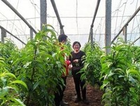 “游龙”实践队：线上与线下的阶段性调研与采访