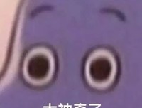 在”朝槿“的日子